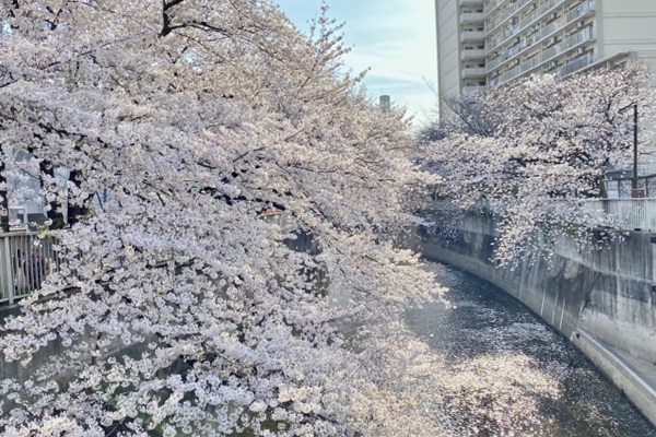 高田馬場