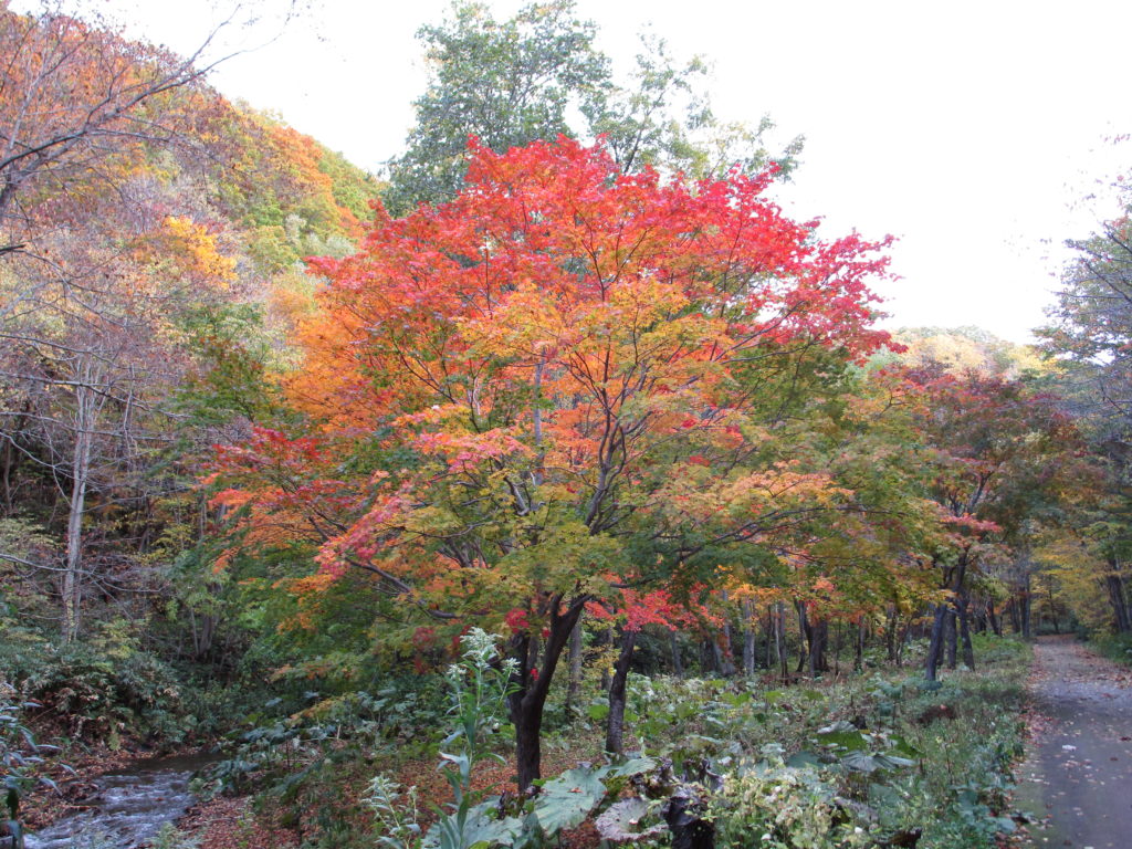 滝野すずらん丘陵公園２